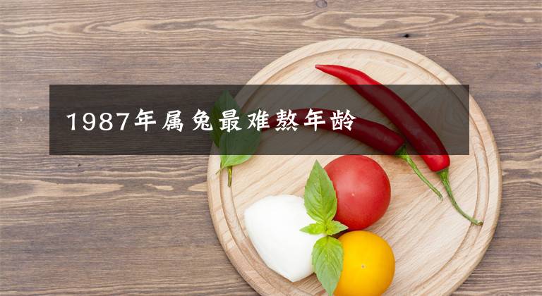 1987年属兔最难熬年龄