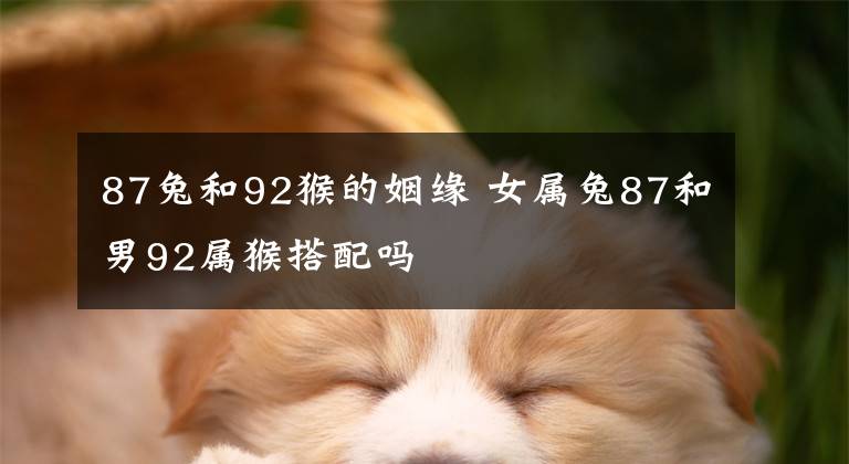 87兔和92猴的姻缘 女属兔87和男92属猴搭配吗