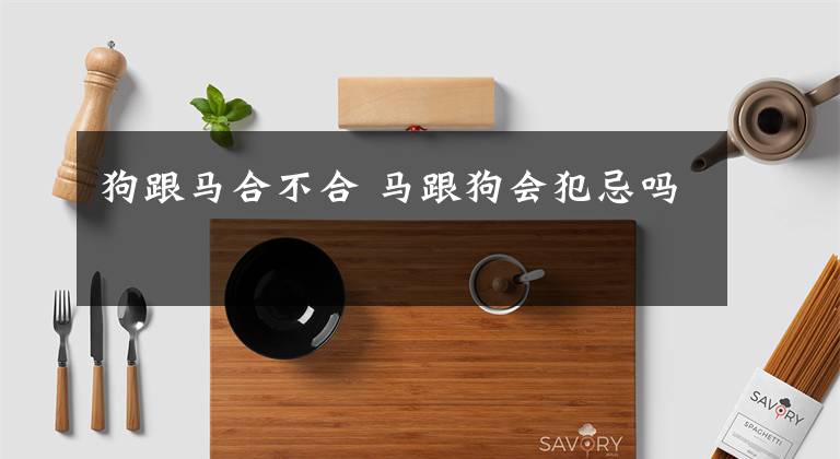 狗跟马合不合 马跟狗会犯忌吗