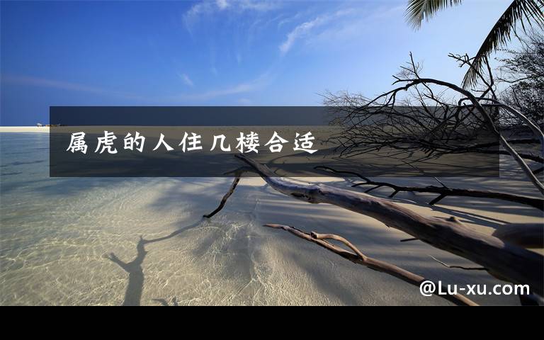 属虎的人住几楼合适