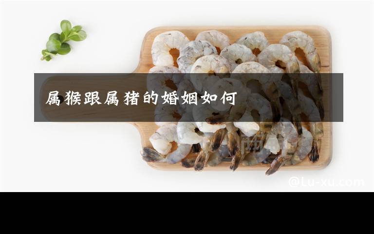 属猴跟属猪的婚姻如何