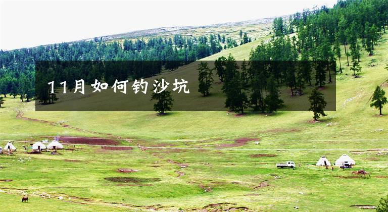 11月如何钓沙坑