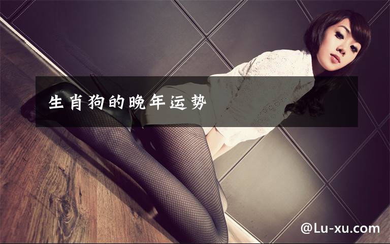 生肖狗的晚年运势