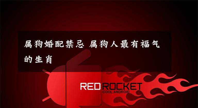 属狗婚配禁忌 属狗人最有福气的生肖
