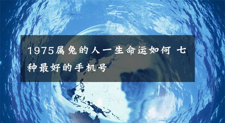1975属兔的人一生命运如何 七种最好的手机号