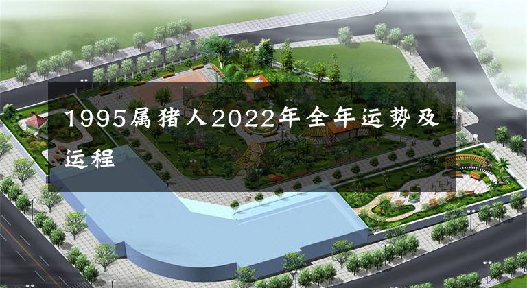 1995属猪人2022年全年运势及运程