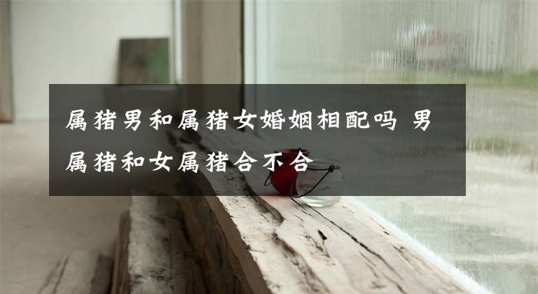属猪男和属猪女婚姻相配吗 男属猪和女属猪合不合