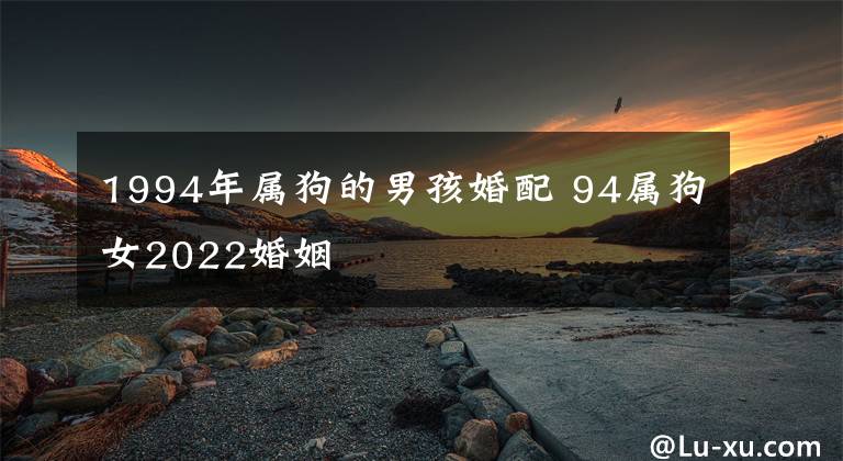 1994年属狗的男孩婚配 94属狗女2022婚姻