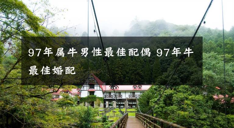 97年属牛男性最佳配偶 97年牛最佳婚配