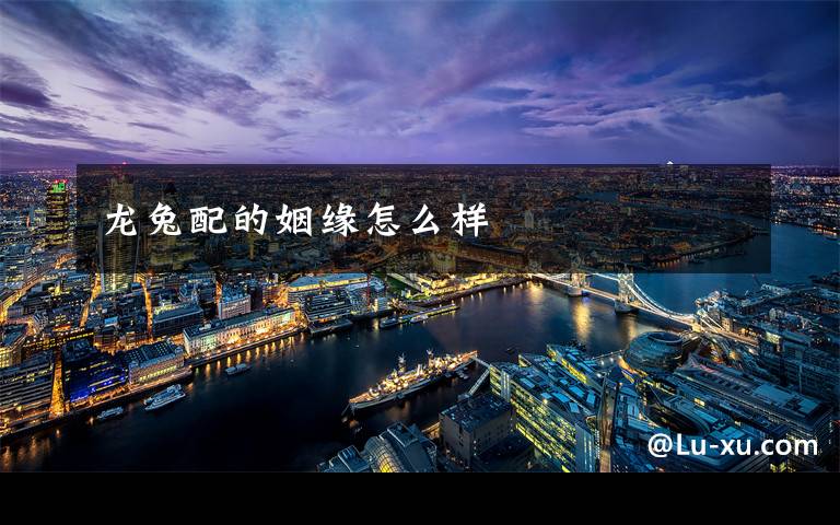 龙兔配的姻缘怎么样