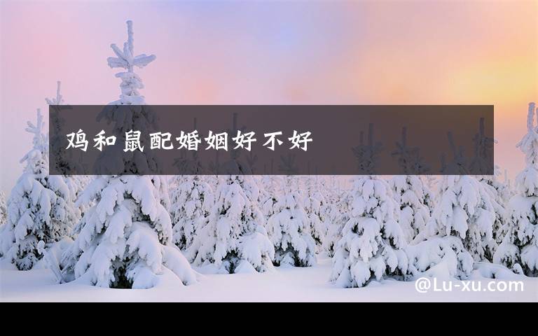鸡和鼠配婚姻好不好