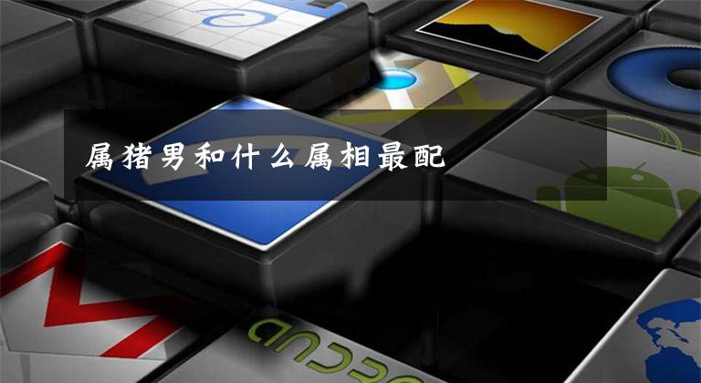 属猪男和什么属相最配