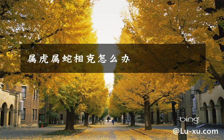 属虎属蛇相克怎么办