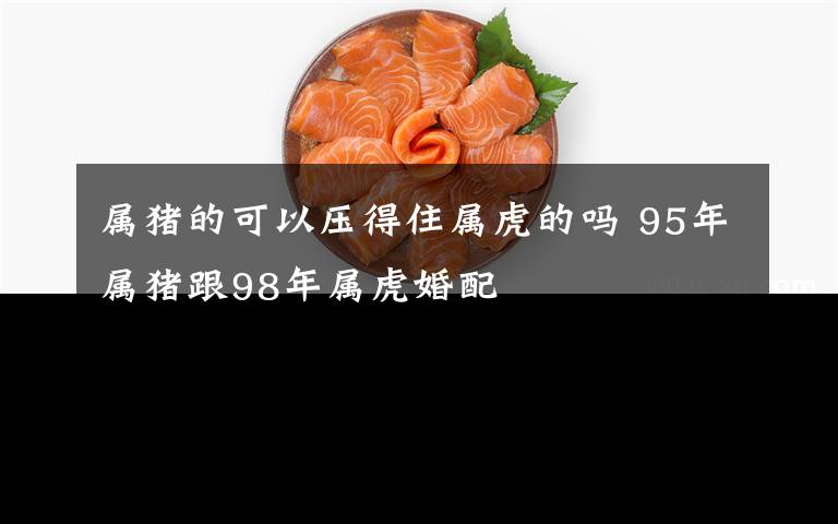 属猪的可以压得住属虎的吗 95年属猪跟98年属虎婚配