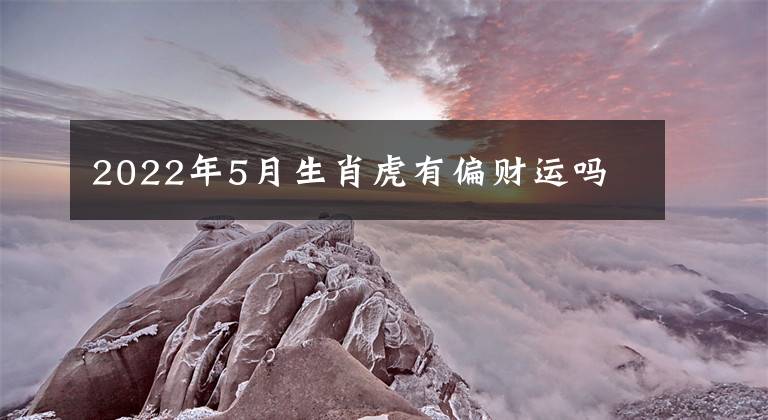 2022年5月生肖虎有偏财运吗