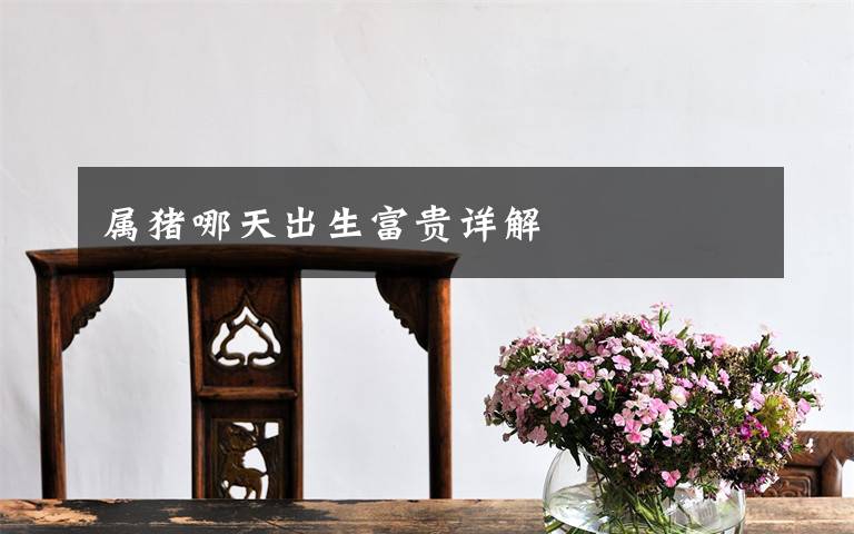 属猪哪天出生富贵详解