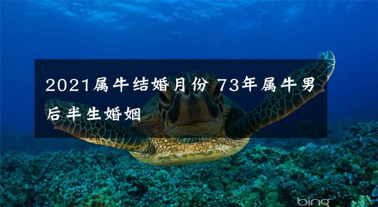 2021属牛结婚月份 73年属牛男后半生婚姻