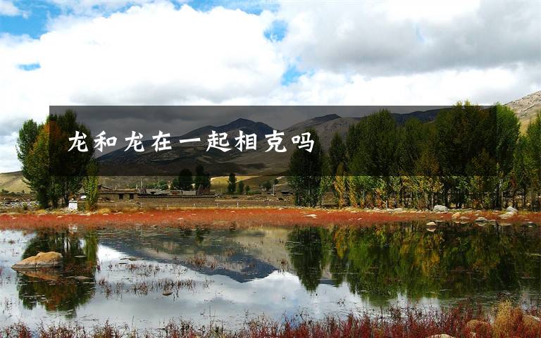 龙和龙在一起相克吗
