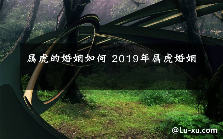 属虎的婚姻如何 2019年属虎婚姻