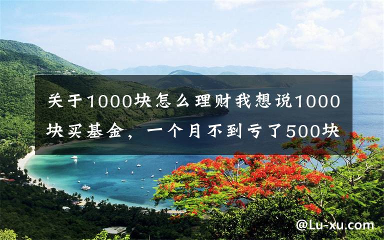 关于1000块怎么理财我想说1000块买基金,一个月不到亏了500块,怎么办?