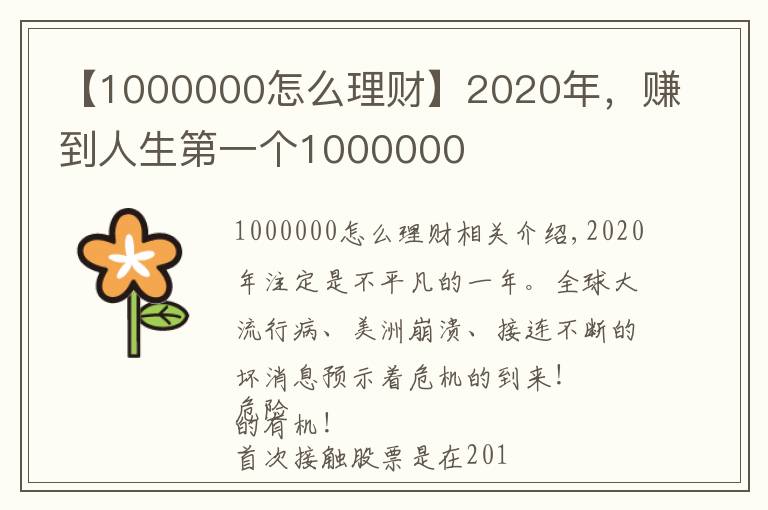 【1000000怎么理财】2020年,赚到人生第一个1000000