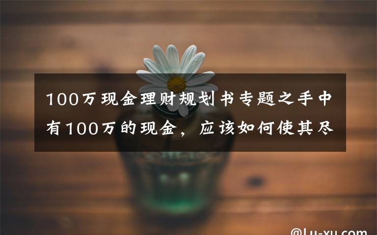 100万现金理财规划书专题之手中有100万的现金，应该如何使其尽可能地增值？
