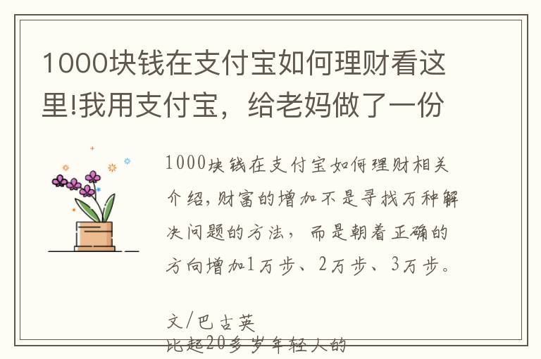 1000块钱在支付宝如何理财看这里!我用支付宝，给老妈做了一份目标年化10%的理财方案