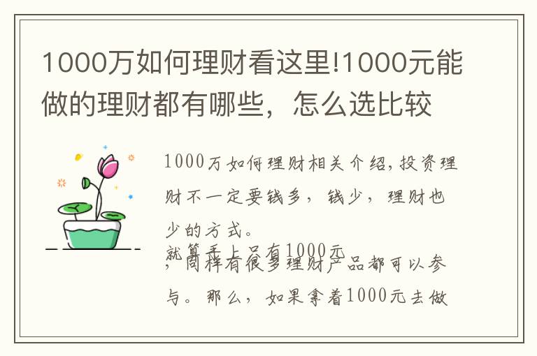 1000万如何理财看这里!1000元能做的理财都有哪些，怎么选比较好？
