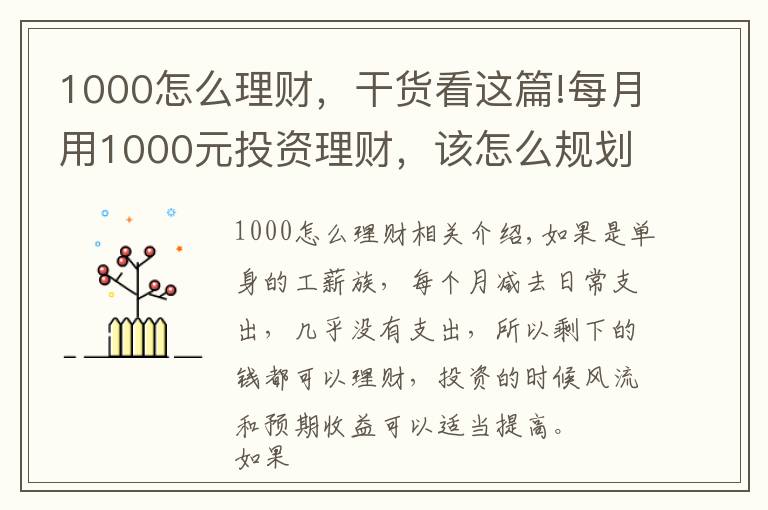 1000怎么理财,干货看这篇!每月用1000元投资理财,该怎么规划好?