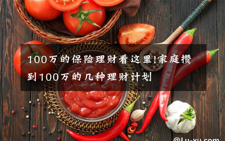 100万的保险理财看这里!家庭攒到100万的几种理财计划
