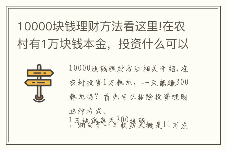 10000块钱理财方法看这里!在农村有1万块钱本金，投资什么可以做到日收入300元？