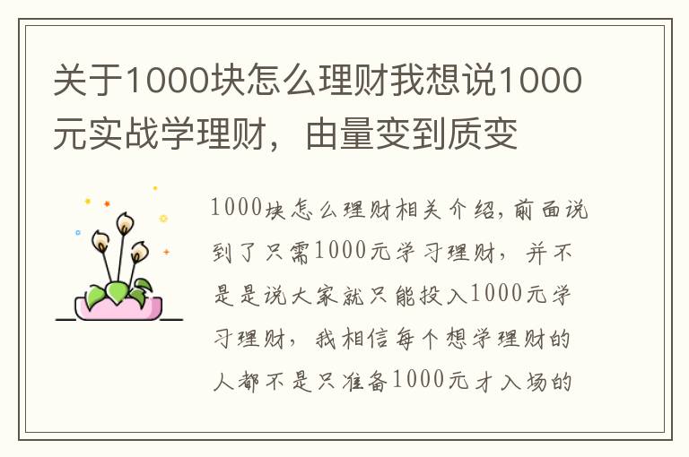 关于1000块怎么理财我想说1000元实战学理财，由量变到质变