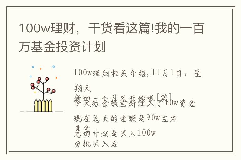 100w理财,干货看这篇!我的一百万基金投资计划