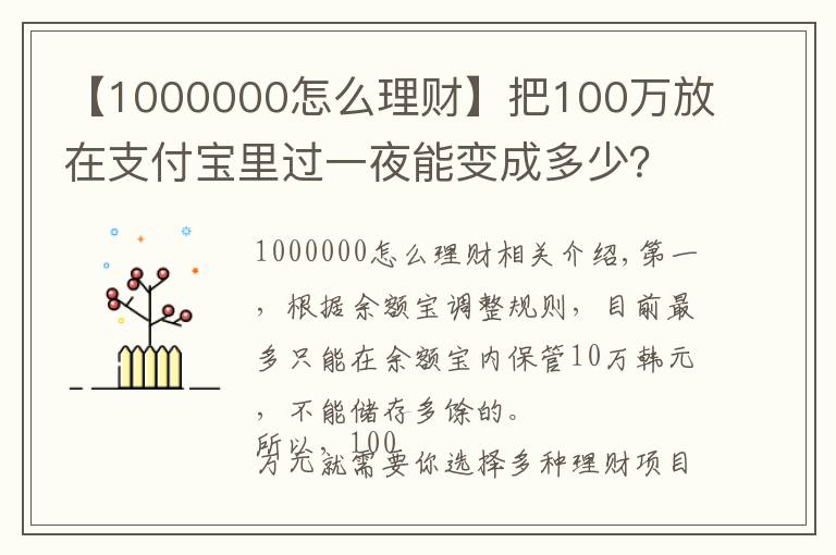 【1000000怎么理财】把100万放在支付宝里过一夜能变成多少?