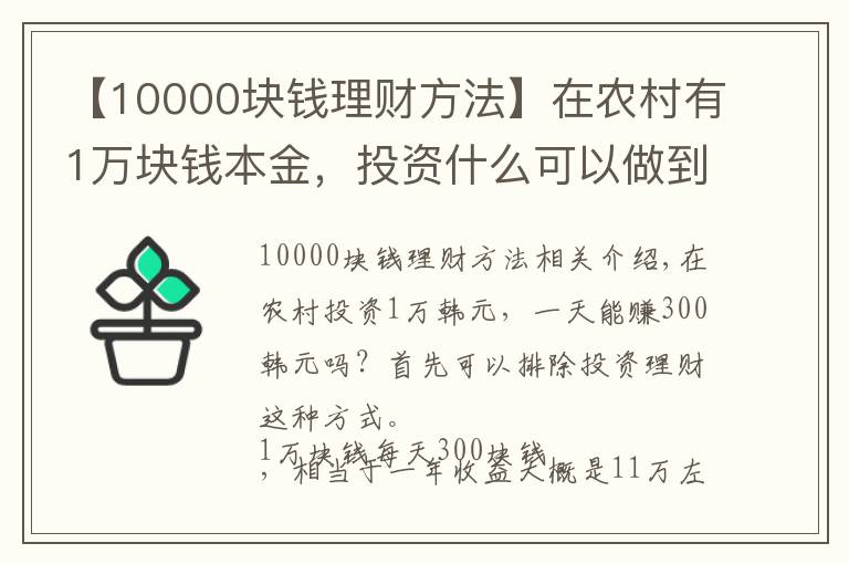 【10000块钱理财方法】在农村有1万块钱本金,投资什么可以做到日收入300元?