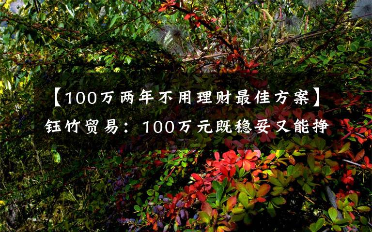 【100万两年不用理财最佳方案】钰竹贸易:100万元既稳妥又能挣到钱的理财方式有哪些?