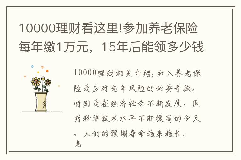 10000理财看这里!参加养老保险每年缴1万元,15年后能领多少钱?多长时间回本?