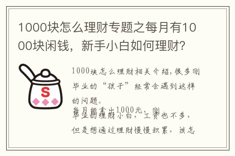 1000块怎么理财专题之每月有1000块闲钱，新手小白如何理财？