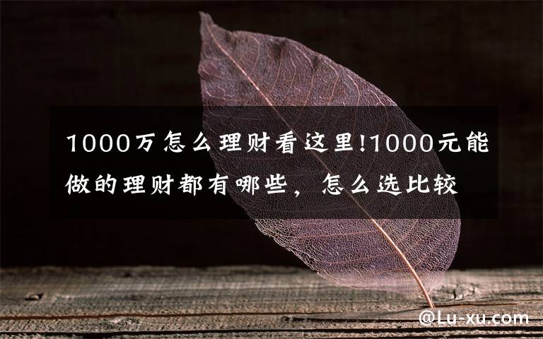 1000万怎么理财看这里!1000元能做的理财都有哪些，怎么选比较好？