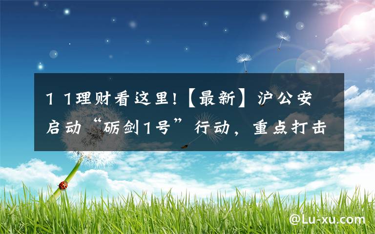 1 1理财看这里!【最新】沪公安启动“砺剑1号”行动，重点打击这些违法犯罪行为