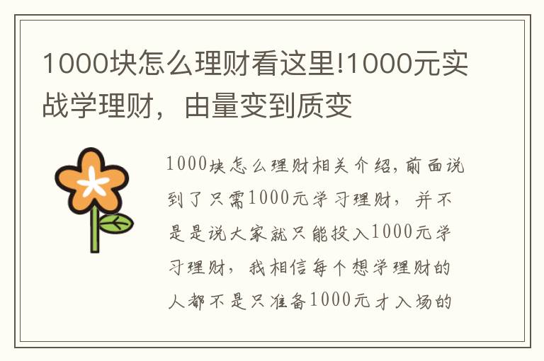1000块怎么理财看这里!1000元实战学理财，由量变到质变