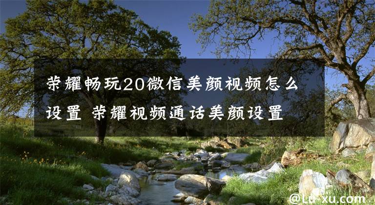 荣耀畅玩20微信美颜视频怎么设置 荣耀视频通话美颜设置