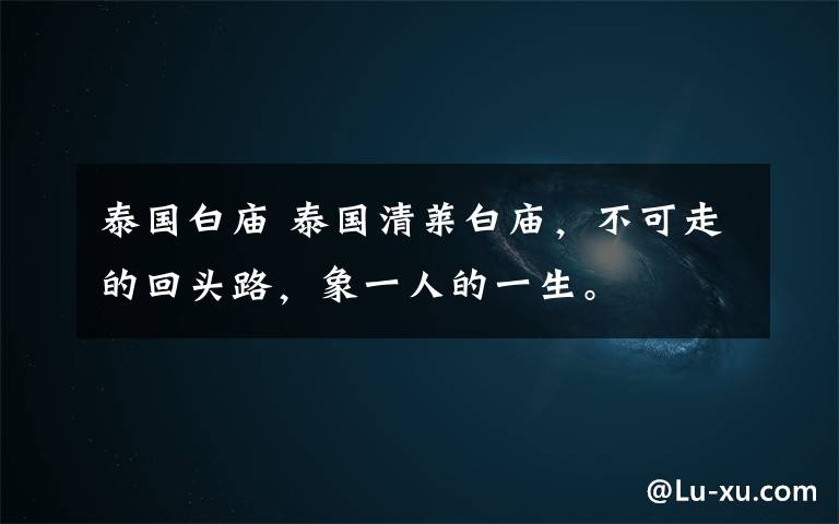泰国白庙 泰国清莱白庙，不可走的回头路，象一人的一生。