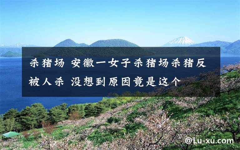 杀猪场 安徽一女子杀猪场杀猪反被人杀 没想到原因竟是这个