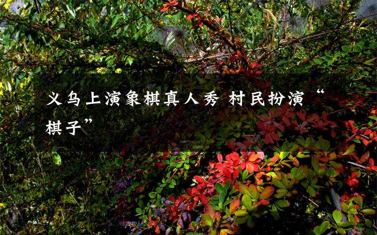 义乌上演象棋真人秀 村民扮演“棋子”