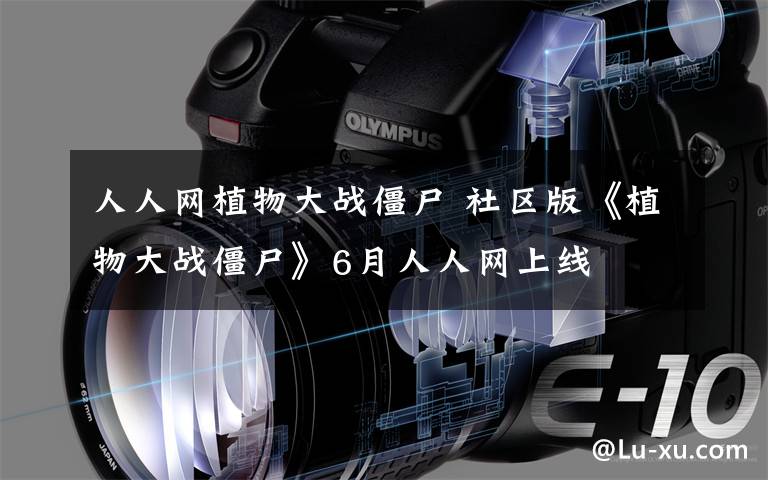 人人网植物大战僵尸 社区版《植物大战僵尸》6月人人网上线
