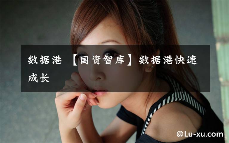数据港 【国资智库】数据港快速成长