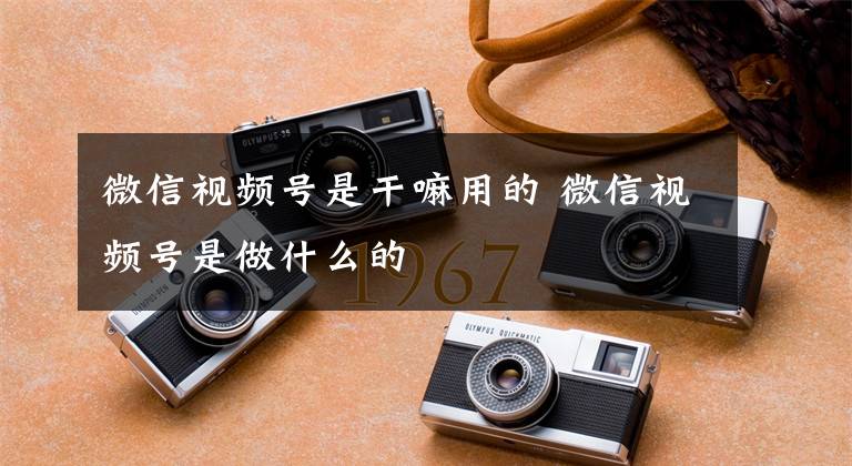 微信视频号是干嘛用的 微信视频号是做什么的