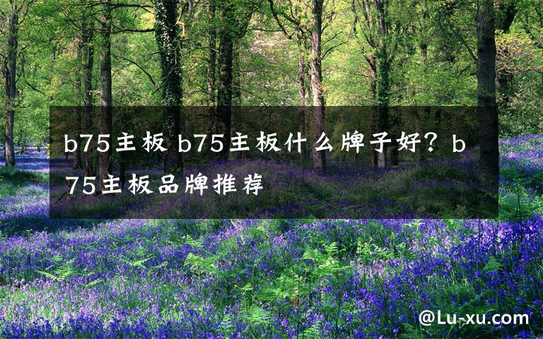 b75主板 b75主板什么牌子好?b75主板品牌推荐