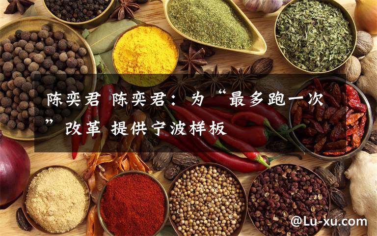 陈奕君 陈奕君:为“最多跑一次”改革 提供宁波样板